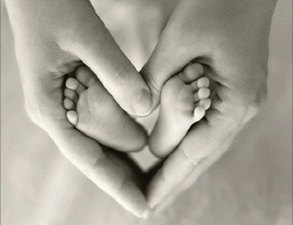 Ảnh minh họa. Ảnh minh họa.