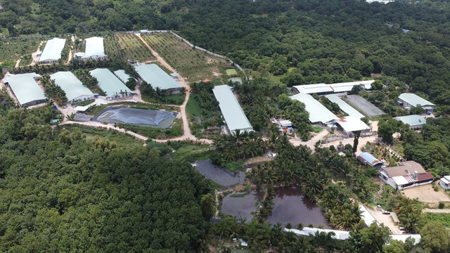 Dong Nai: Trai heo giong PN gay o nhiem moi truong?-Hinh-2