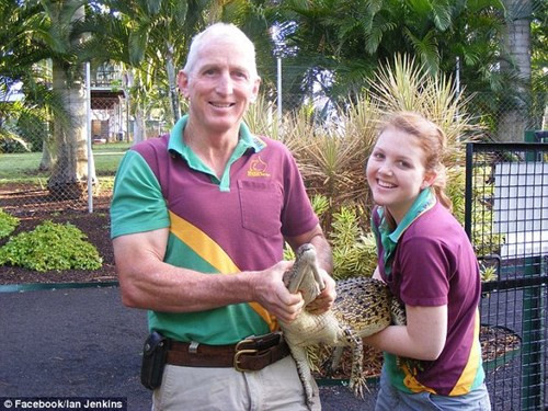 Cá sấu lao tới cắn đứt ngón tay huấn luyện viên - Hình 3 Ca sau lao toi can dut ngon tay huan luyen vien-Hinh-3