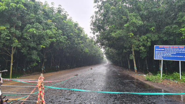 Duong Song Nhan - Dau Giay (Dong Nai): Troi mua nha thau van tham nhua? (bai 1)-Hinh-4
