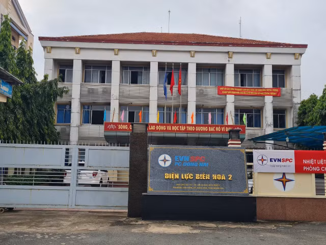 Vi sao mot so cong trinh cua dien luc Dong Nai bi dinh chi?