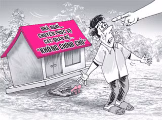 Ảnh minh họa. DAD