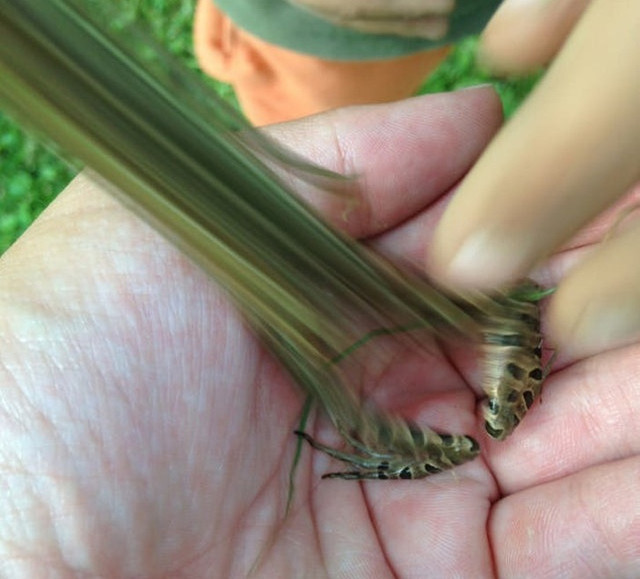 Loạt khoảnh khắc độc lạ bắt đúng thời điểm đến khó tin - Hình 8 Loat khoanh khac doc la bat dung thoi diem den kho tin-Hinh-8