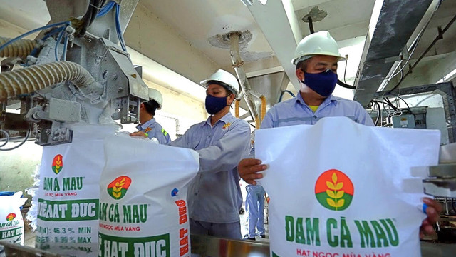 Đạm Cà Mau (DCM) hoàn thành 77% kế hoạch xuất khẩu 6 tháng đầu năm Dam Ca Mau (DCM) hoan thanh 77% ke hoach xuat khau 6 thang dau nam