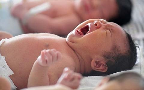 Ảnh minh họa. Nguồn: Internet.