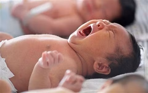 Ảnh minh họa. Nguồn: Internet.