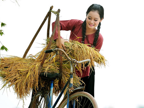 Ảnh minh họa. Nguồn: Internet.