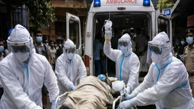 Virus Nipah gây ra phổ biểu hiện lâm sàng rất rộng, từ nhiễm không triệu chứng cho đến viêm não cấp. Ảnh: APA.