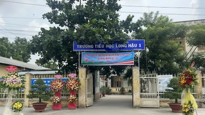 Trường Tiểu học Long Hậu 1