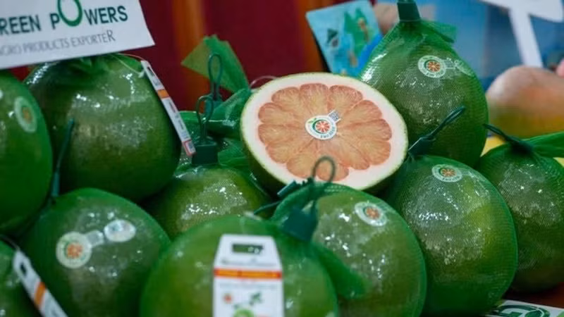 Việt Nam chính thức xuất khẩu bưởi sang Australia: Mốc son hay bước đệm?