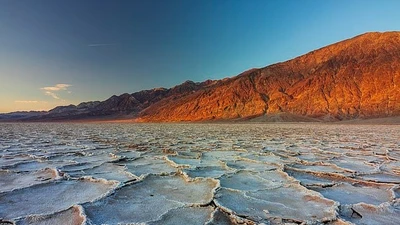 Hồ Manly trở lại Thung lũng Chết sau hàng thế kỷ khô hạn do mưa lớn