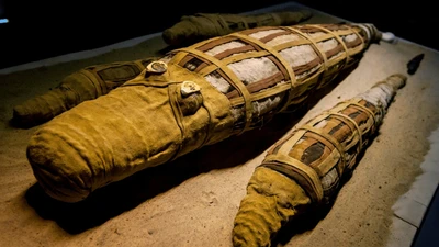 Nghiên cứu xác cá sấu cổ đại hé lộ nghi lễ bí ẩn của người Ai Cập