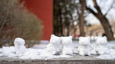 Tuyết lông ngỗng bất thường phủ trắng Bắc Kinh, Trung Quốc