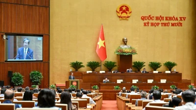 Ngày 20/11 Quốc hội thảo luận các dự án luật giáo dục 