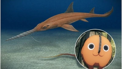 Cá mập cổ đại mang tên lấy cảm hứng từ truyện tranh nổi tiếng của Chile