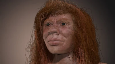 Người Nhật cổ đại ít mang ADN Denisova hơn các nhóm Đông Á khác