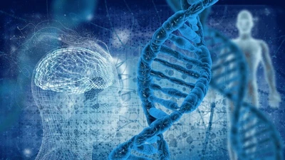 Phát hiện ADN cổ xưa cho thấy quan hệ cha-con gây sốc