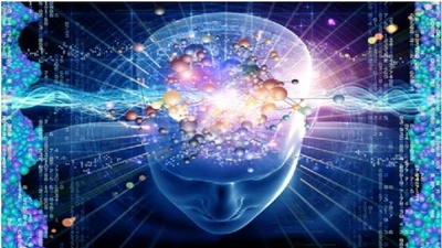 Con người có tới 33 giác quan, vượt xa nhận thức truyền thống