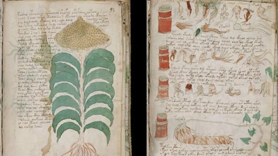Mật mã độc đáo giúp giải mã phần nào Bản thảo Voynich cổ xưa