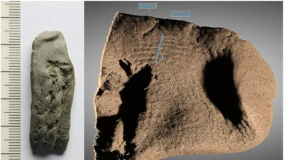 Khám phá mới về thuyền Hjortspring: hành trình dài và chiến dịch tấn công