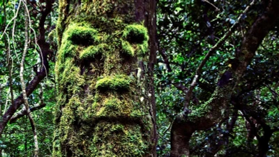 Hiểu về ảo giác khuôn mặt: não bộ tự nhận diện hình ảnh quen thuộc