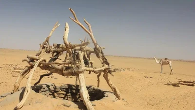 Ngôi mộ cổ ở Sudan hé lộ nghi lễ tang lễ bí ẩn từ 4.000 năm trước