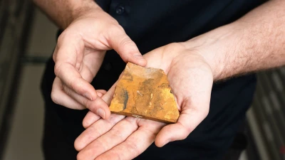 Phát hiện hóa thạch loài côn trùng mới cách đây 151 triệu năm