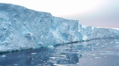 Nam Cực tan băng kỷ lục đe dọa nhấn chìm hàng loạt đô thị
