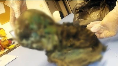 Giải mã bí ẩn xác ướp chuyển màu xanh huyền bí