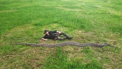 Con trăn dài hơn 7m tại Indonesia lập kỷ lục thế giới