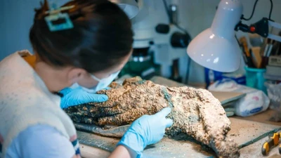 Phát hiện mũ sắt và áo giáp xích cổ đại tại pháo đài Rustavi