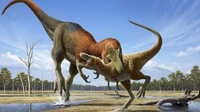 Bộ xương khủng long đấu tay đôi tiết lộ sự thật mới về T-rex và Nanotyrannus