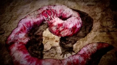 Huyền thoại loài giun tử thần phun nọc độc cực mạnh