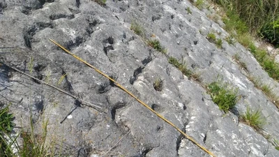 Phát hiện dấu chân cổ đại của thủy quái trên vách đá Italy