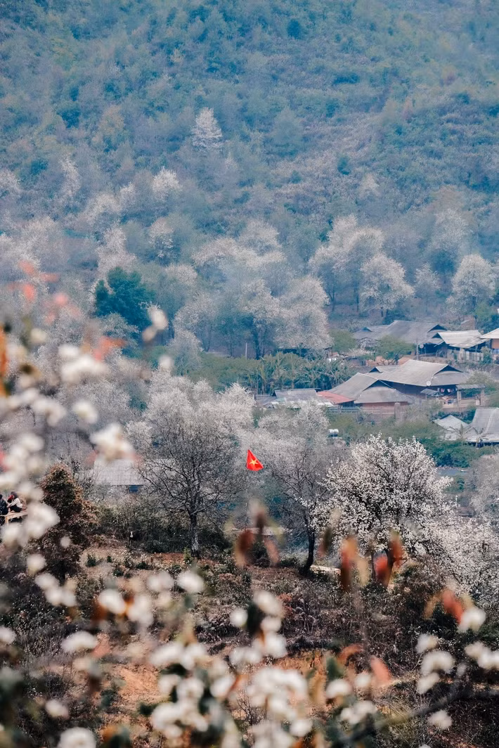 Theo khảo sát của các đơn vị lữ hành, nhiều tour khám phá Ngọc Chiến – Nậm Nghẹp mùa hoa sơn tra hiện được thiết kế trong hành trình 2 ngày 1 đêm, khởi hành từ Hà Nội. Giá tour phổ biến dao động từ khoảng 1,3 – 1,7 triệu đồng/người, bao gồm xe đưa đón, ăn uống, hướng dẫn viên và nghỉ homestay tại Ngọc Chiến.