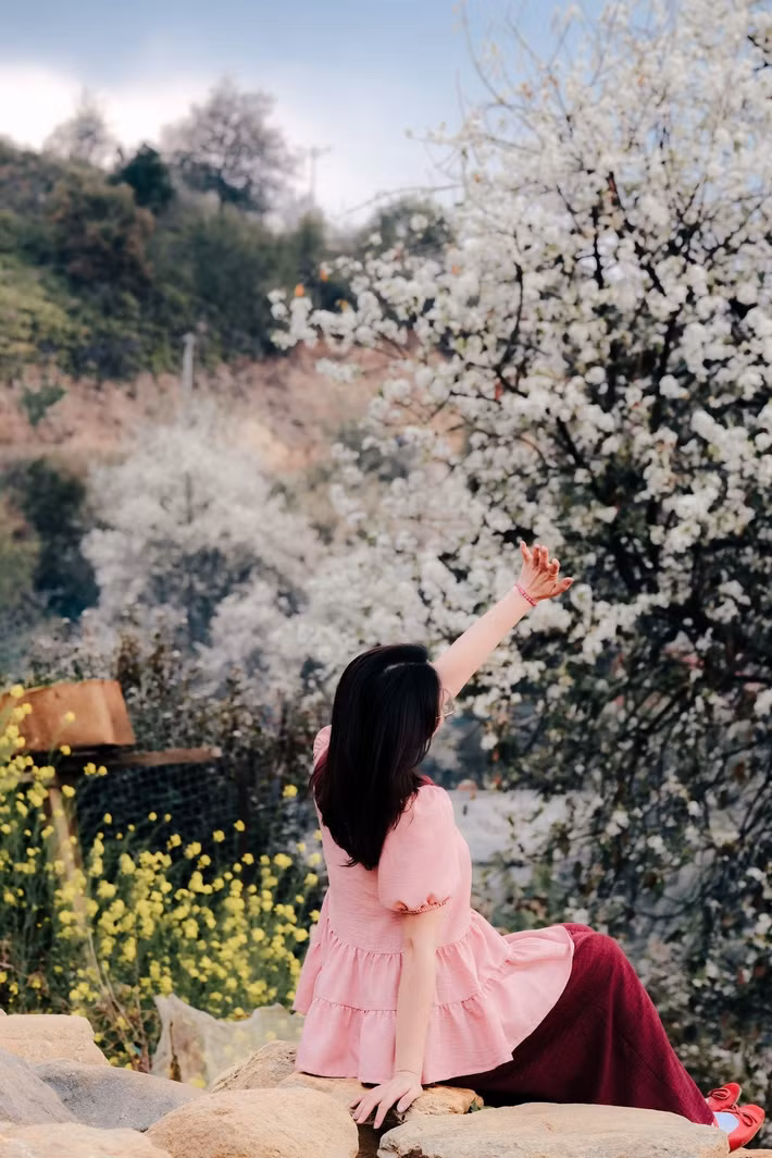 Mùa hoa sơn tra thường kéo dài đến hết tháng 3. Trong tiết trời se lạnh của vùng núi cao, sắc hoa trắng hòa cùng mây núi và sương sớm tạo nên vẻ đẹp rất riêng cho Nậm Nghẹp. Đây cũng là thời điểm lý tưởng để du khách tìm về với thiên nhiên nguyên sơ và khám phá thêm một góc bình yên của Tây Bắc.