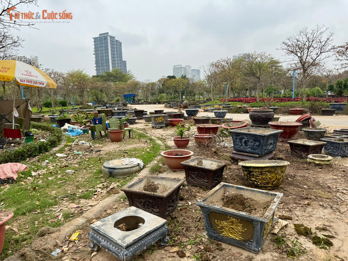 Đáng chú ý, sau dịp chợ hoa Tết được tổ chức tại đây, nhiều loại rác thải vẫn chưa được thu dọn triệt để.