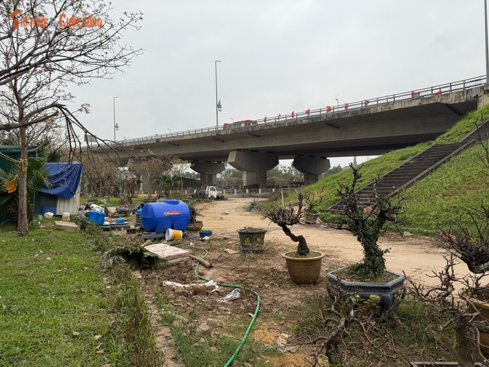 Không chỉ bị biến thành bãi đỗ xe tự phát, một phần diện tích vườn hoa còn xuất hiện các lán trại tạm bợ dựng dưới gầm cầu Nhật Tân.