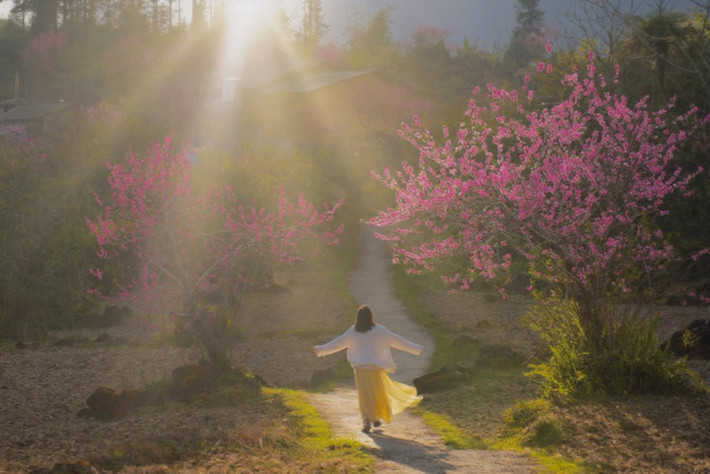 Nằm ở vùng biên giới phía Bắc của tỉnh Tuyên Quang, xã Tùng Vài (trước đây là xã Cao Mã Pờ) đang dần trở thành điểm đến hấp dẫn đối với những du khách yêu thích thiên nhiên hoang sơ của miền núi Đông Bắc. Mỗi độ xuân về, nơi đây như khoác lên mình tấm áo mới khi sắc hoa đào bung nở khắp các triền núi, sườn đồi và bản làng, tạo nên bức tranh mùa xuân vừa rực rỡ vừa bình yên.