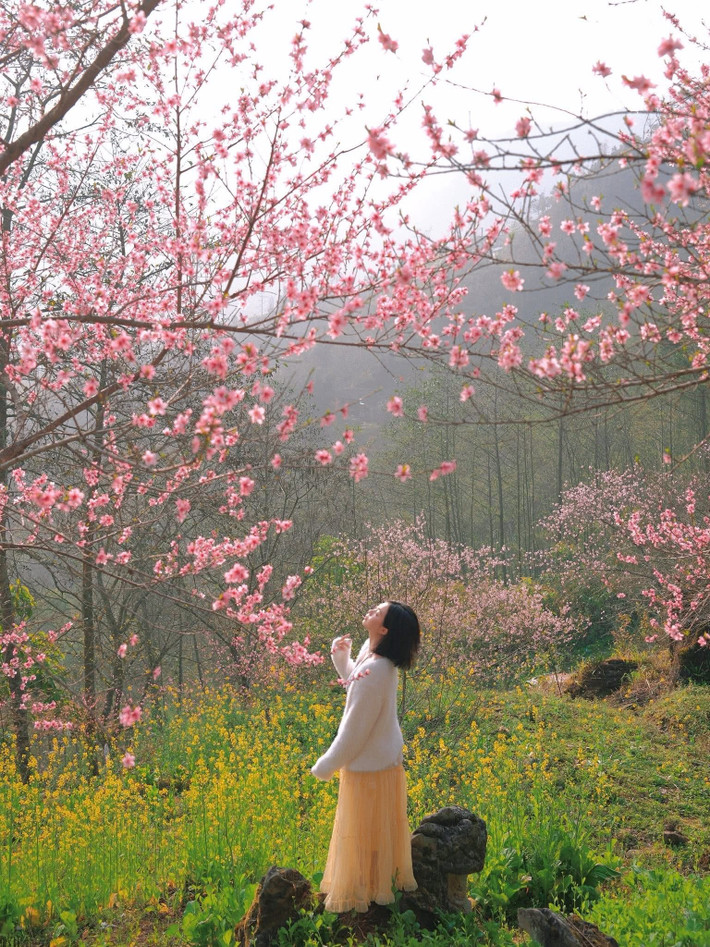 Không chỉ có hoa đào, Tùng Vài còn gây ấn tượng với nhiều loài hoa đặc trưng của vùng cao. Khi xuân về, sắc trắng tinh khôi của hoa mận, màu đỏ rực rỡ của hoa đỗ quyên hay những thảm hoa cải vàng trải dài trên sườn đồi tạo nên bức tranh thiên nhiên đa sắc màu.