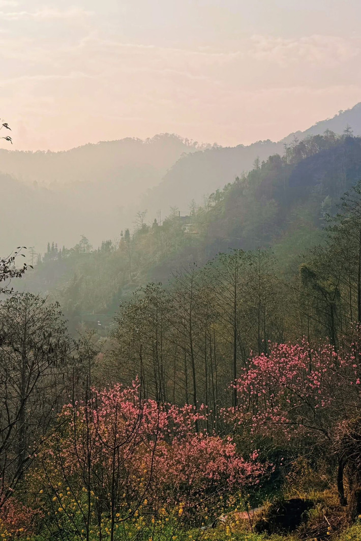 Tour Hà Nội – Tuyên Quang (Khu vực Hà Giang cũ) – Đồng Văn (4 ngày 3 đêm) có giá khoảng 4,2 – 4,5 triệu đồng/khách, đưa du khách khám phá các điểm như Quản Bạ, Yên Minh, Đồng Văn hay cột cờ Lũng Cú. Ngoài ra, tour khám phá Đông Bắc 5 ngày 4 đêm với giá khoảng 5 – 6 triệu đồng/khách cũng kết hợp tham quan nhiều bản làng vùng cao và các cung đường núi nổi tiếng.