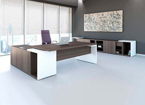 Những vật dụng trên bàn làm việc cũng góp phần định hình năng lượng không gian. Các vật sắc nhọn hoặc hình ảnh tiêu cực nên được hạn chế, thay vào đó là cây xanh hoặc vật phẩm mang ý nghĩa tích cực để tạo cảm giác hài hòa, dễ chịu. Ảnh noithatvanphong