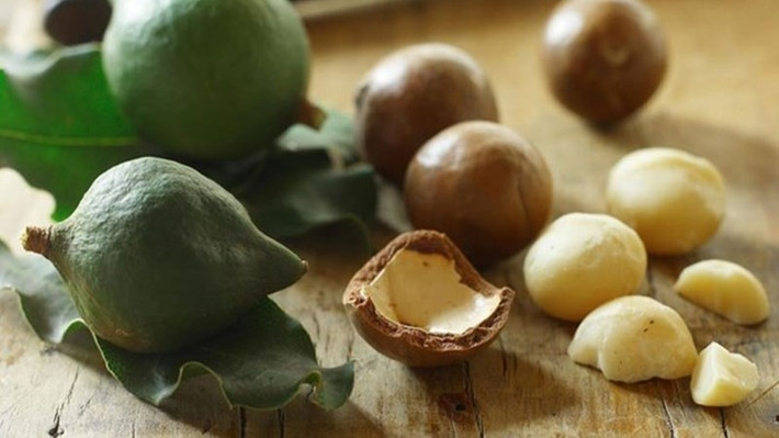 Theo ghi nhận trên thị trường quốc tế, mắc ca nhập khẩu từ Mỹ có thể đạt giá khoảng 1,3 triệu đồng/kg. Trong khi đó tại Việt Nam, mắc ca sau sơ chế thường được bán từ 180.000 – 300.000 đồng/kg, tùy chất lượng và cách chế biến. Ảnh Interrnet