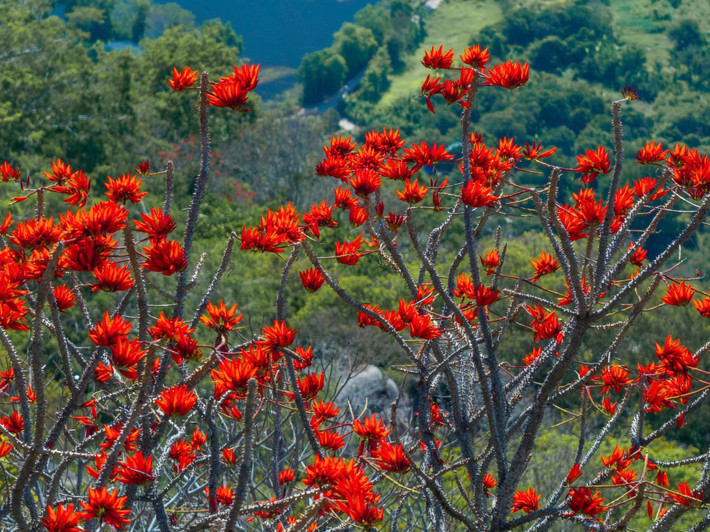 Theo khảo sát từ một số công ty lữ hành, tour tham quan núi Bà Đen kết hợp ghé thăm Tòa Thánh Cao Đài Tây Ninh trong ngày hiện có giá khoảng 700.000 – 1,3 triệu đồng/người, tùy chương trình và dịch vụ đi kèm.