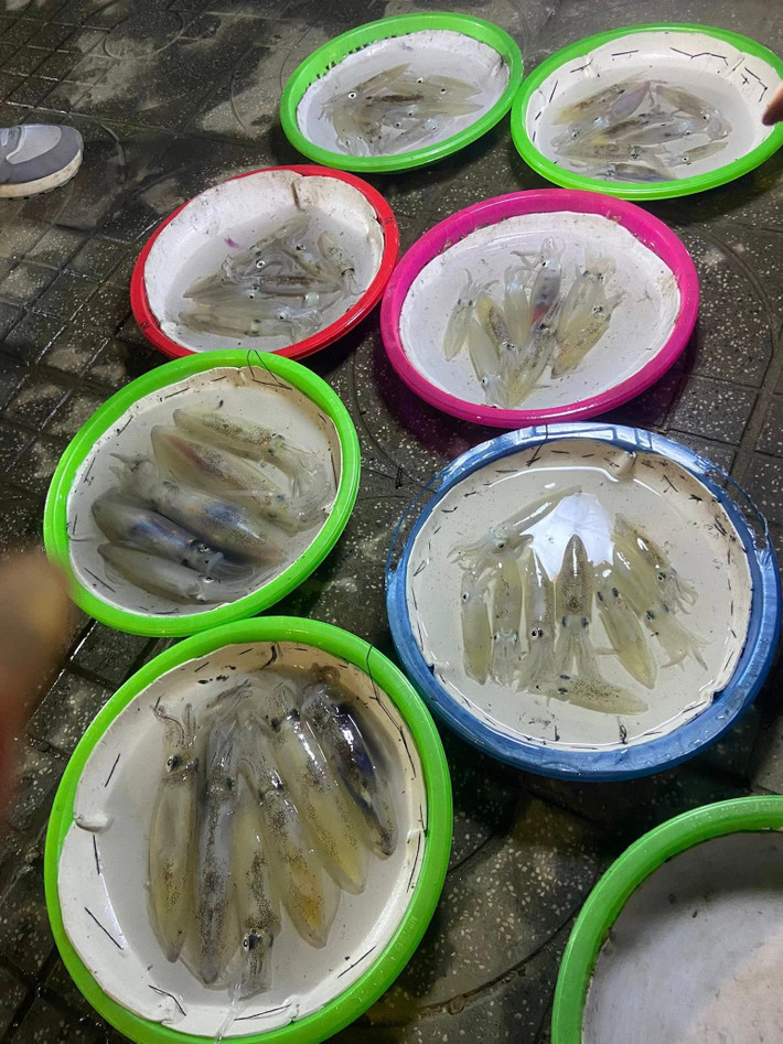 Không ồn ào như những khu du lịch ban ngày, Cửa Lò về đêm mang một nhịp sống khác chậm hơn nhưng lại náo nhiệt theo cách rất riêng. Trên tuyến đường dẫn ra đảo Lan Châu (phường Cửa Lò, tỉnh Nghệ An), từ khoảng 19h, một “phiên chợ không chính thức” bắt đầu hình thành. Ảnh Nghệ An News