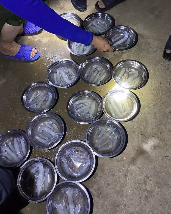 Giá dao động từ 150.000 đến 400.000 đồng tùy kích cỡ. Người mua tự tay lựa chọn, quan sát độ “nháy” của mực rồi trả giá. Mọi giao dịch đều diễn ra nhanh gọn, dựa trên sự thỏa thuận trực tiếp giữa hai bên. Chính sự giản đơn này lại tạo nên sức hút riêng, khiến nhiều du khách cảm thấy thích thú như đang tham gia một phiên chợ dân dã đúng nghĩa. Ảnh Nguyễn Lâm Huy