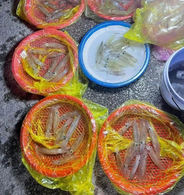 Càng về khuya, dòng người đổ về càng đông. Không gian trở nên rộn ràng với tiếng gọi mời, tiếng trả giá, tiếng cười nói hòa cùng âm thanh sóng biển vỗ bờ. Ảnh Nghệ An News