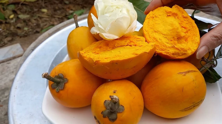 Vài năm trở lại đây, loại quả này bắt đầu được nhiều người tìm mua trở lại. Tại các chợ và cửa hàng trái cây, lê ki ma tươi có giá khoảng 25.000 – 35.000 đồng/kg, thậm chí có nơi bán tới 50.000 – 55.000 đồng/kg. Ảnh Internet