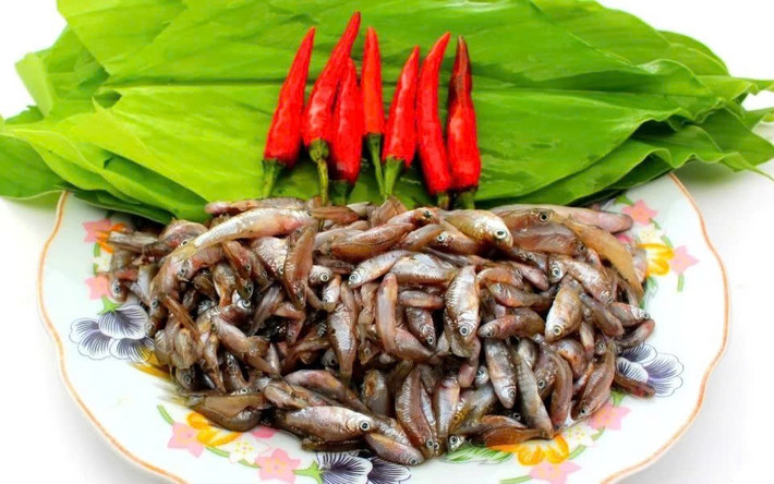 Trước đây, cá rầm khá nhiều nên thường được người dân bắt về làm thức ăn hằng ngày. Tuy nhiên, những năm gần đây lượng cá giảm dần, khiến loài cá nhỏ bé này trở nên hiếm hơn. Ảnh Tiên Sa