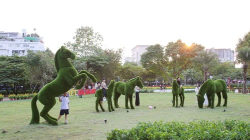 Hàng loạt đất vàng bỏ hoang biến thành vườn xuân rực rỡ tại TP HCM